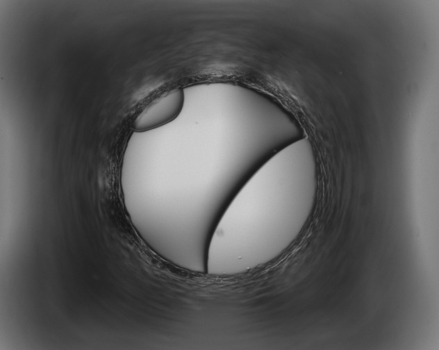 X0000084521158200703021349