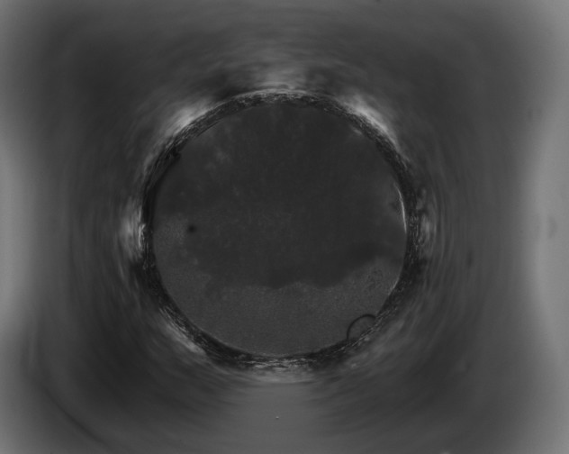 X0000084521159200703021349