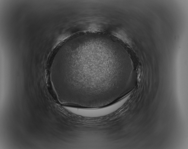 X0000084521160200703021349