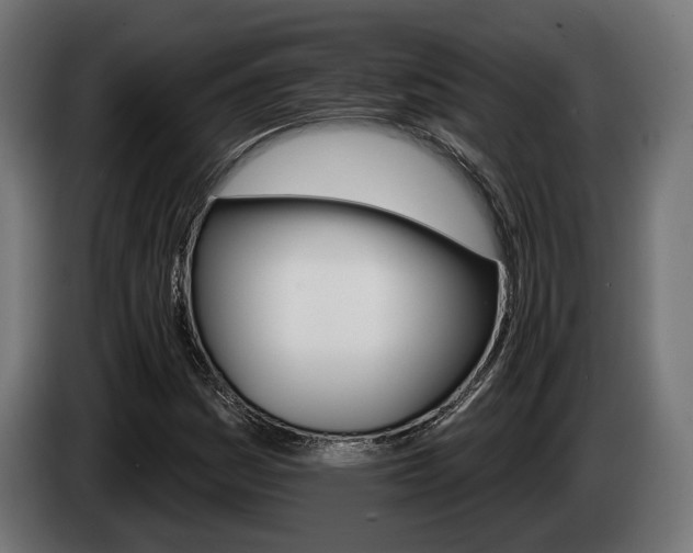 X0000084521161200703021349