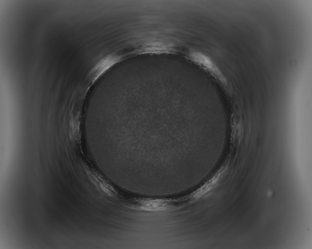 X0000084521162200703021349