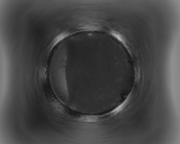 X0000084521163200703021349