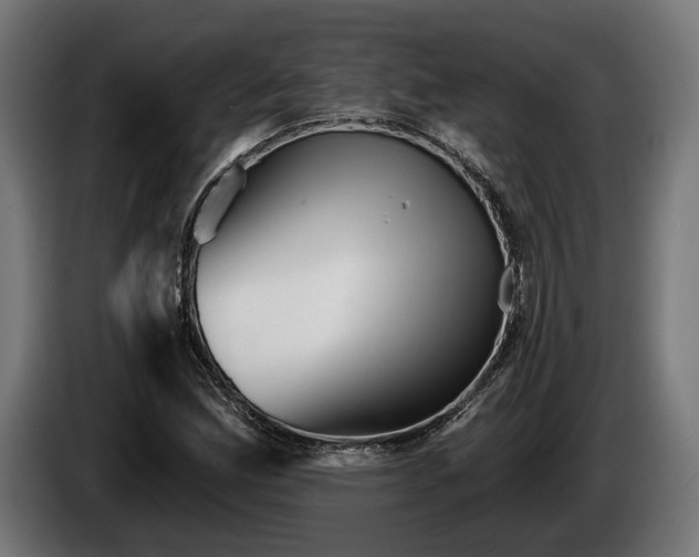 X0000084521165200703021349