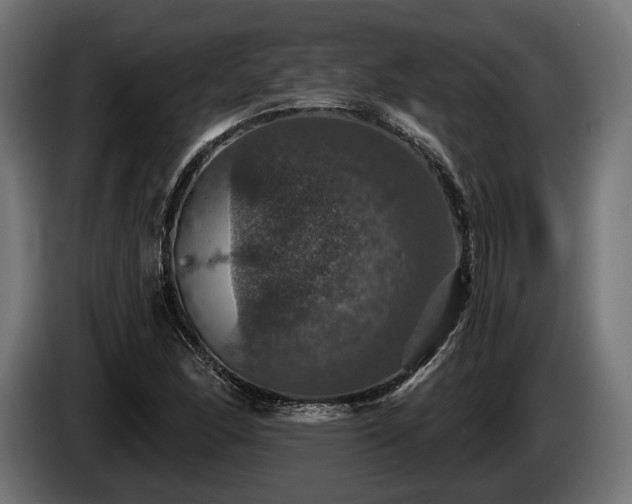 X0000084521166200703021349