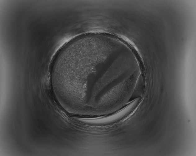 X0000084521167200703021349