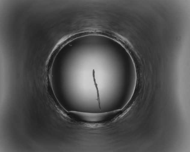 X0000084521168200703021349