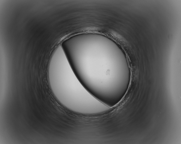 X0000084521169200703021349