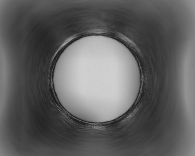 X0000084521170200703021349