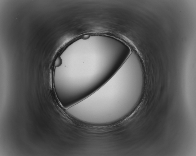 X0000084521171200703021349