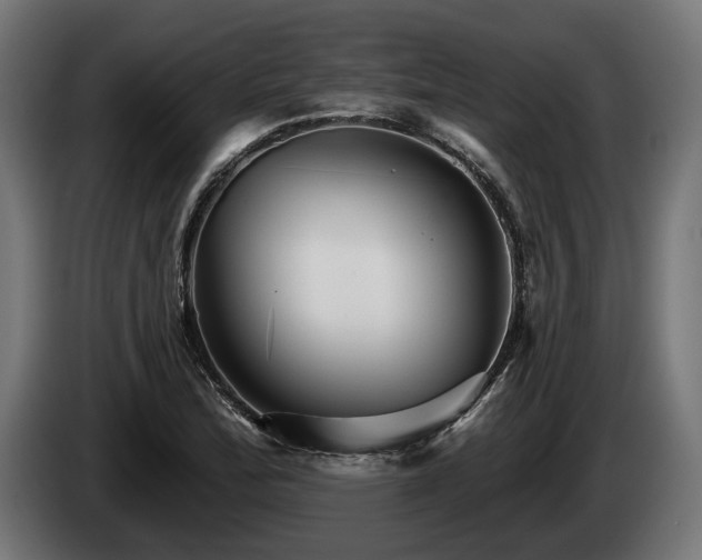 X0000084521172200703021349