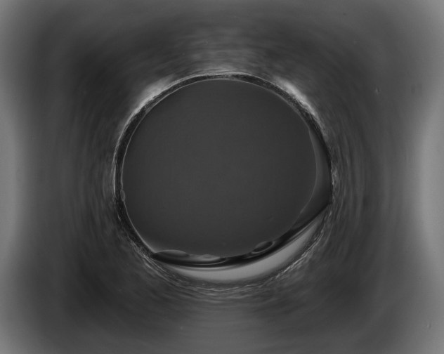 X0000084521173200703021349