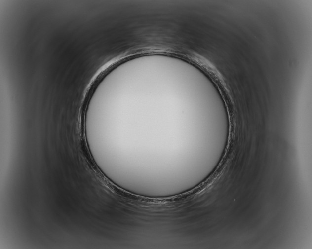 X0000084521174200703021349