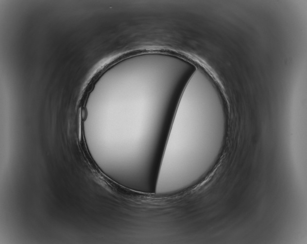 X0000084521175200703021349