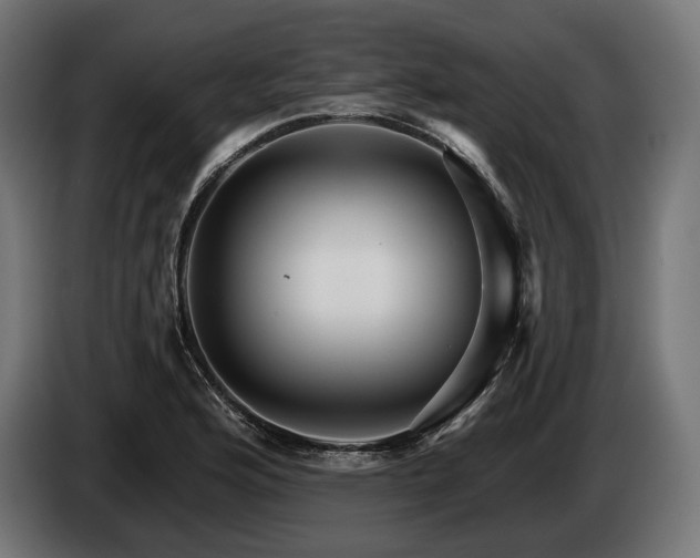 X0000084521176200703021349