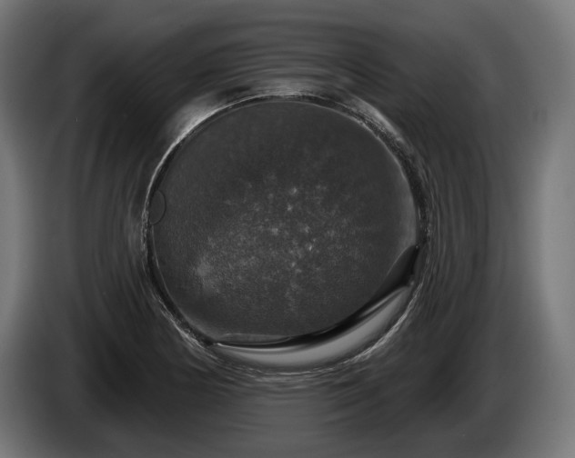 X0000084521178200703021349