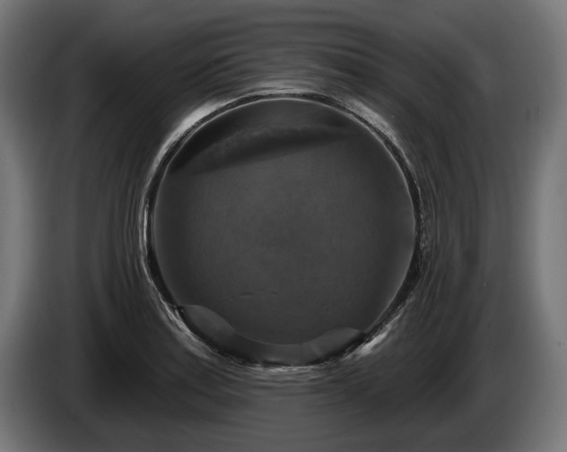 X0000084521179200703021349