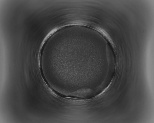 X0000084521180200703021349