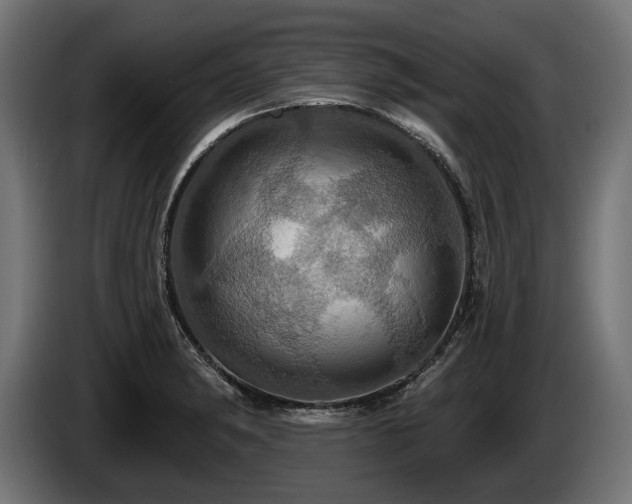 X0000084521182200703021349