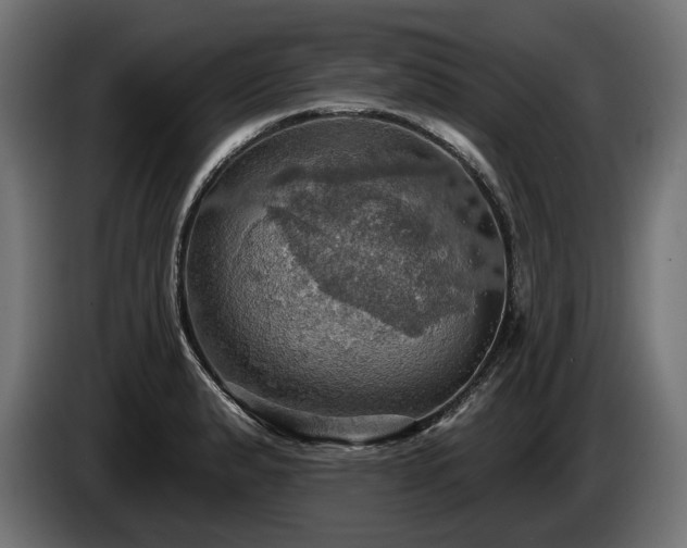 X0000084521183200703021349
