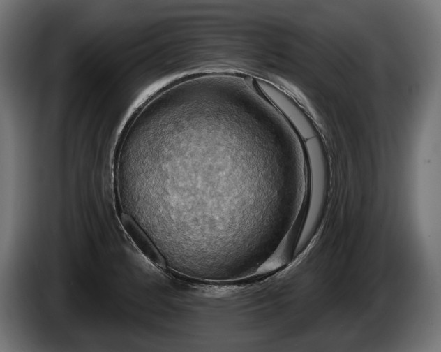 X0000084521184200703021349