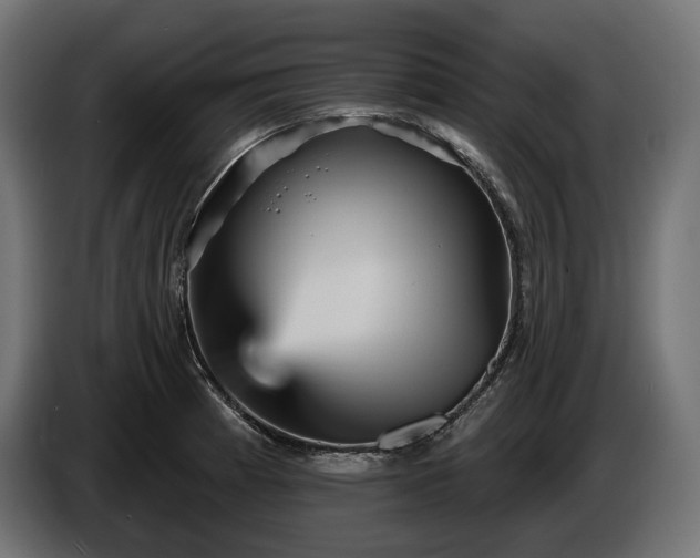 X0000084521185200703021349