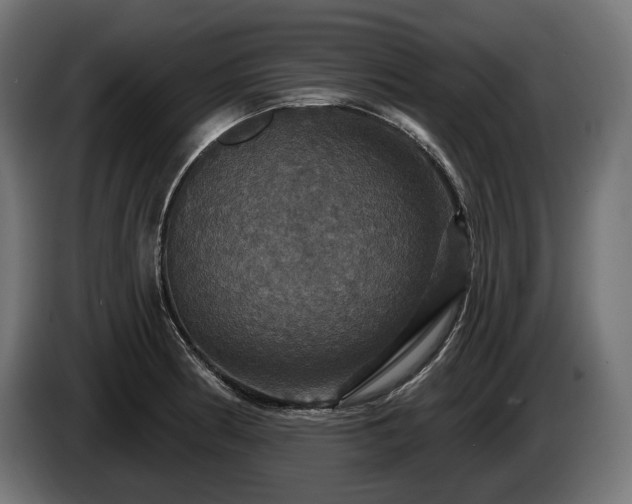 X0000084521186200703021349