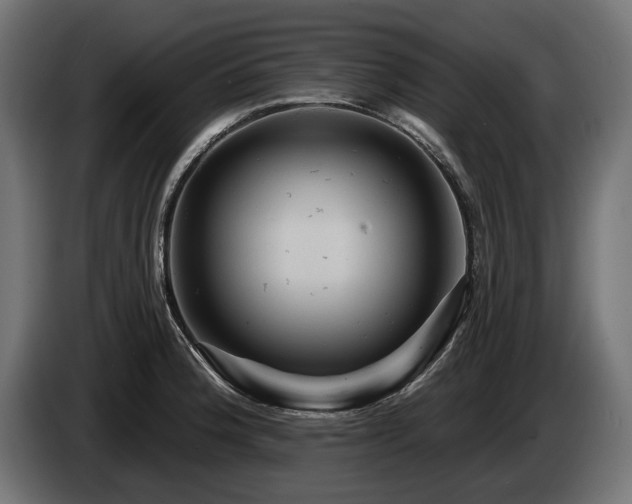 X0000084521188200703021349