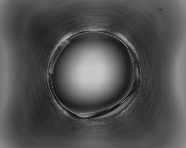 X0000084521189200703021349