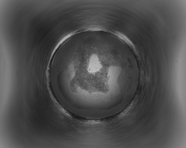 X0000084521190200703021349