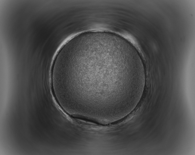 X0000084521191200703021349