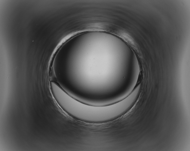 X0000084521192200703021349