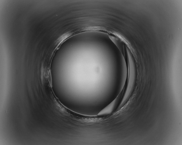 X0000084521193200703021349