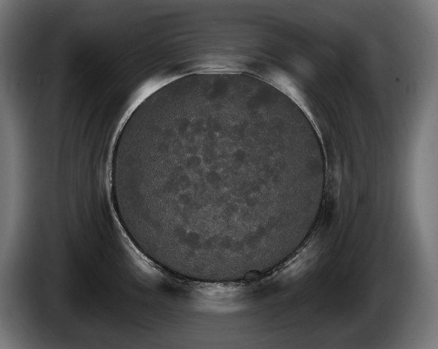 X0000084521195200703021349