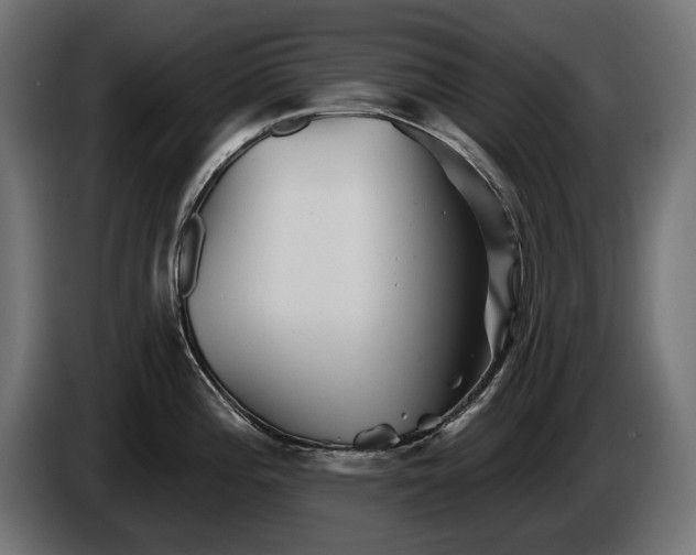 X0000084521196200703021349