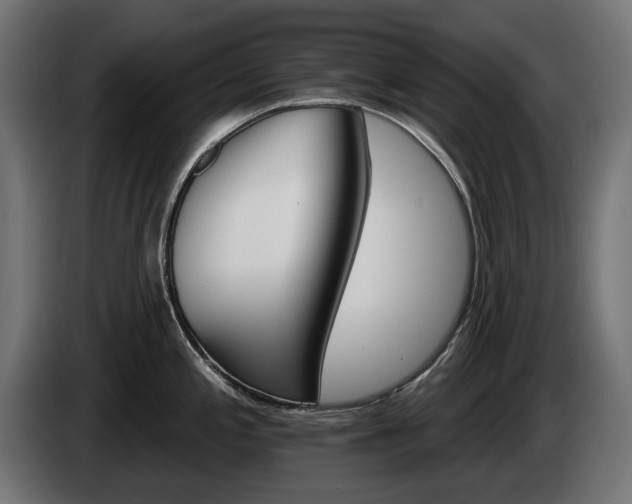 X0000084521197200703021349