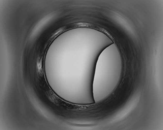 X0000084521198200703021349