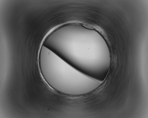 X0000084521199200703021348