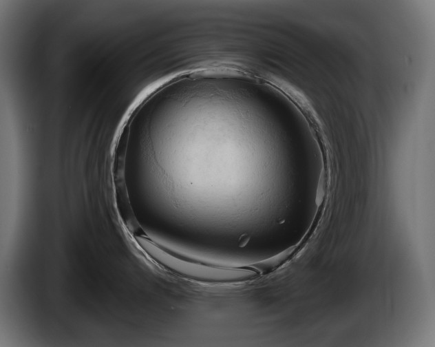 X0000084521200200703021348