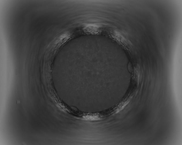 X0000084521201200703021348