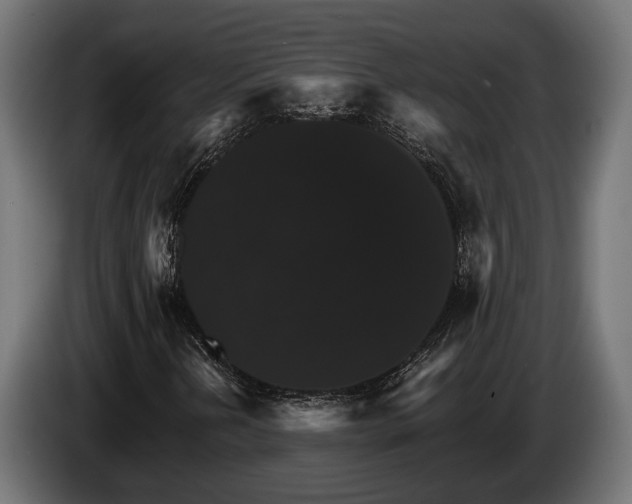 X0000084521202200703021348