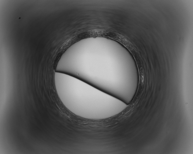 X0000084521204200703021348