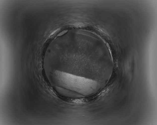 X0000084521205200703021348