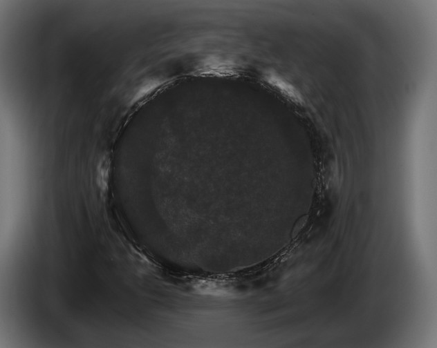 X0000084521206200703021348