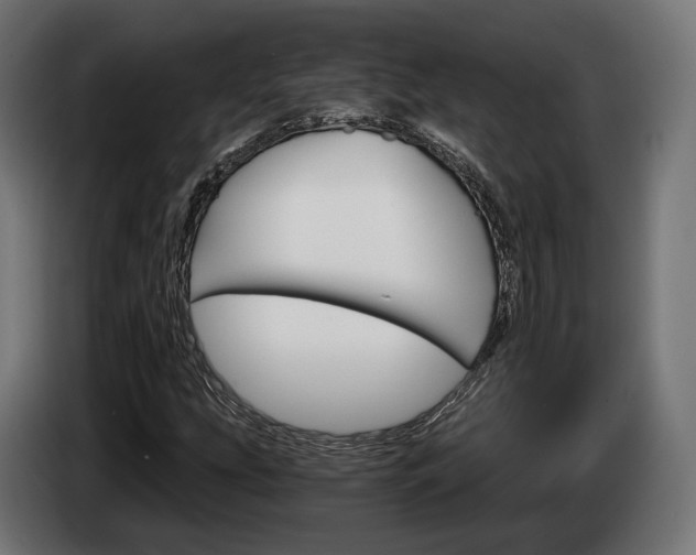 X0000084521207200703021348