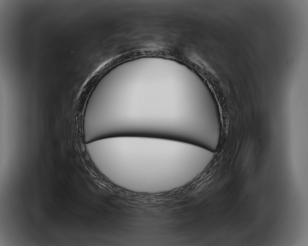 X0000084521208200703021348