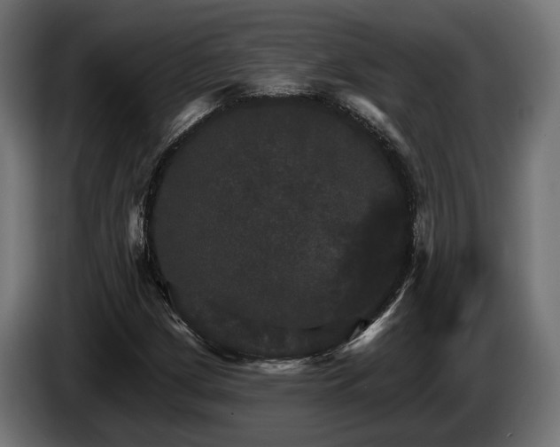 X0000084521209200703021348