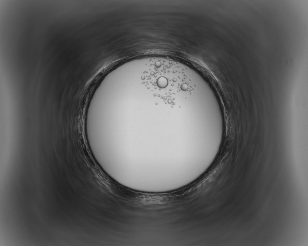 X0000084521211200703021348