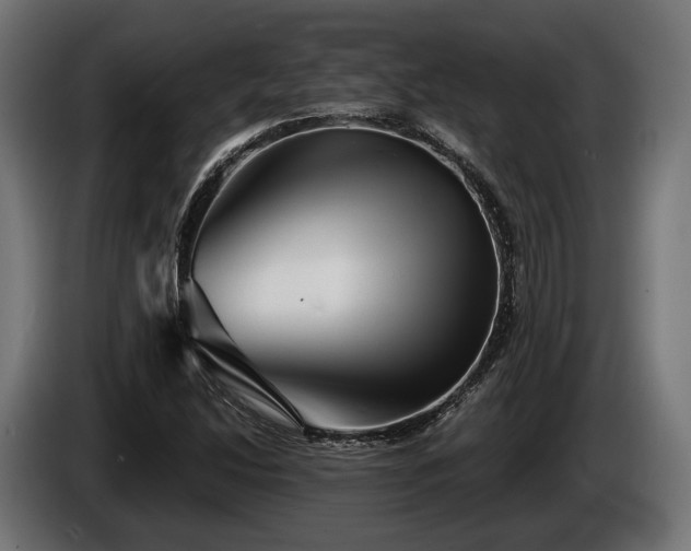 X0000084521214200703021348