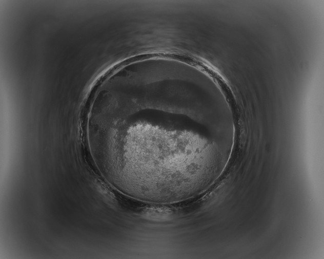 X0000084521215200703021348