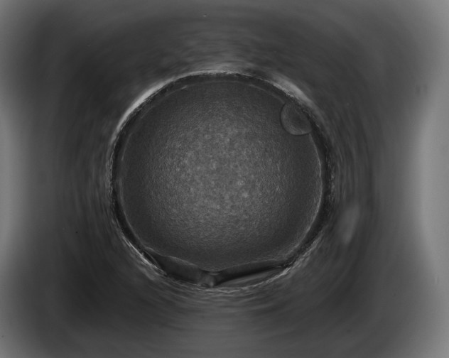 X0000084521216200703021348